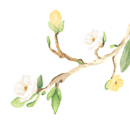 寻芳觅趣正其时,不负春景踏歌行 寻芳觅趣正其时,不负春景踏歌行